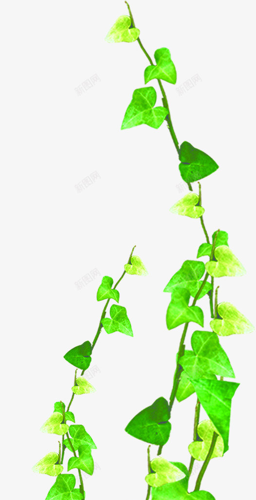 绿色清新春天树叶风光png免抠素材_新图网 https://ixintu.com 春天 树叶 清新 绿色 风光