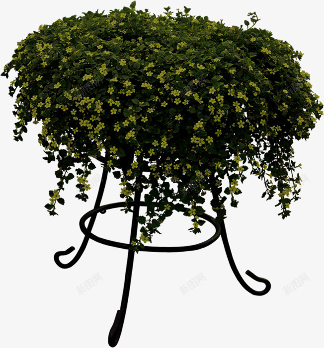 绿色植物花盆装饰png免抠素材_新图网 https://ixintu.com 绿色植物 花盆 装饰