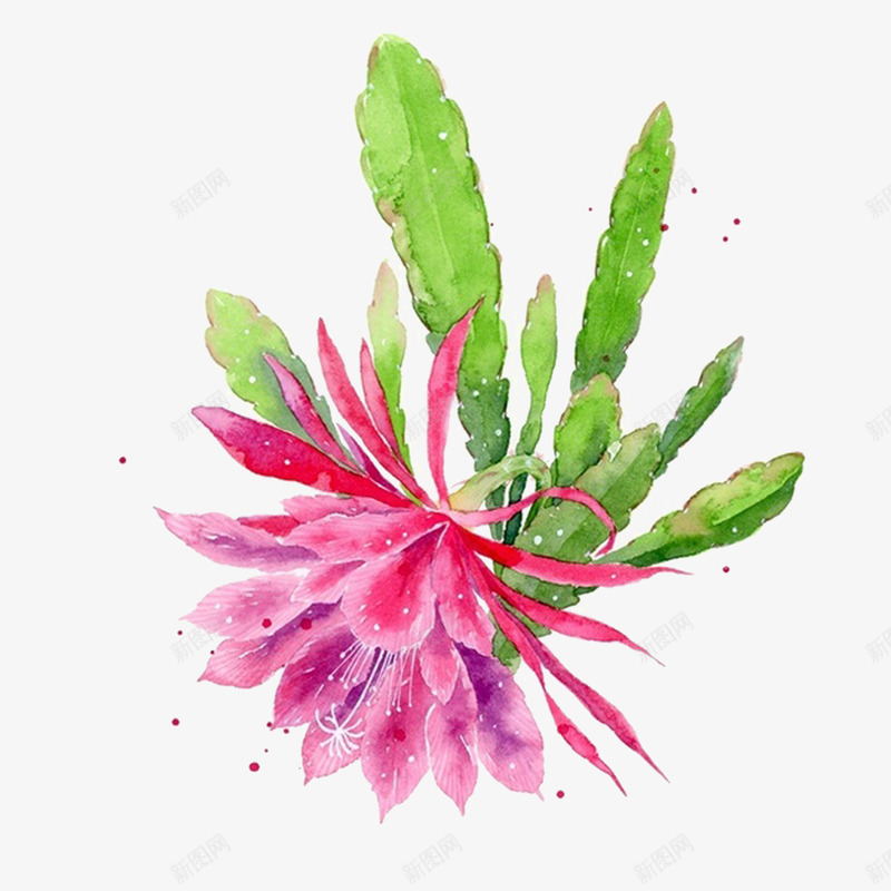 玫红色花朵彩绘png免抠素材_新图网 https://ixintu.com 开放 彩绘 玫红色 花朵