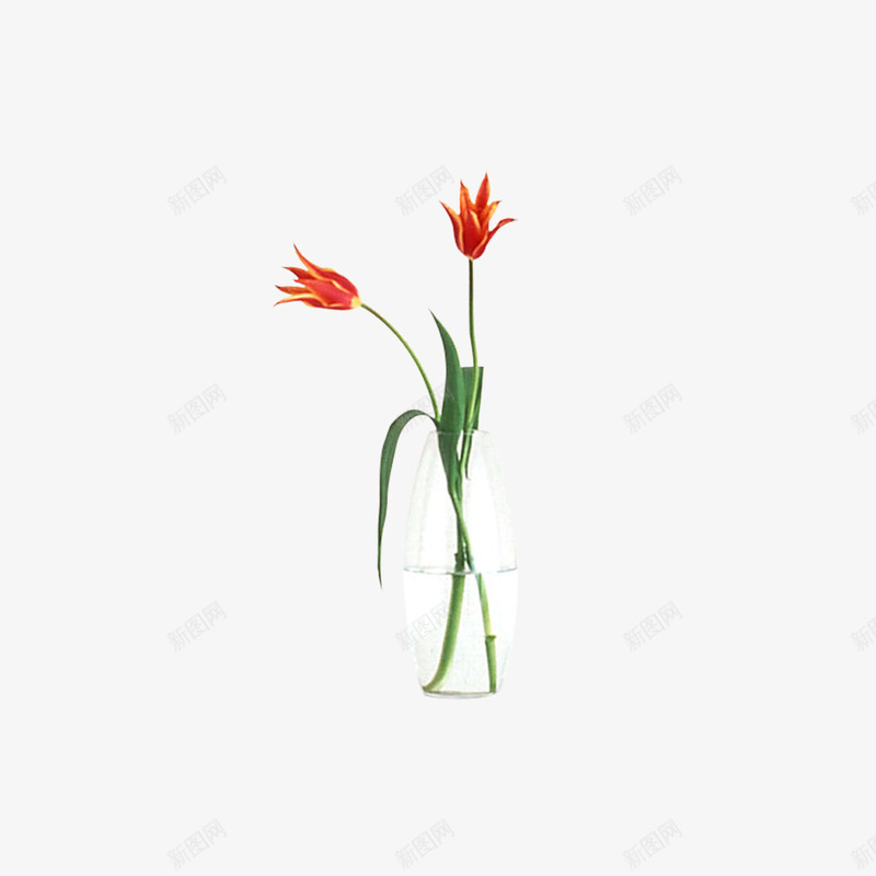 花卉元素png免抠素材_新图网 https://ixintu.com 植物 盆摘 绿色 花儿 花卉 花卉元素 花瓶 花盆 鲜花