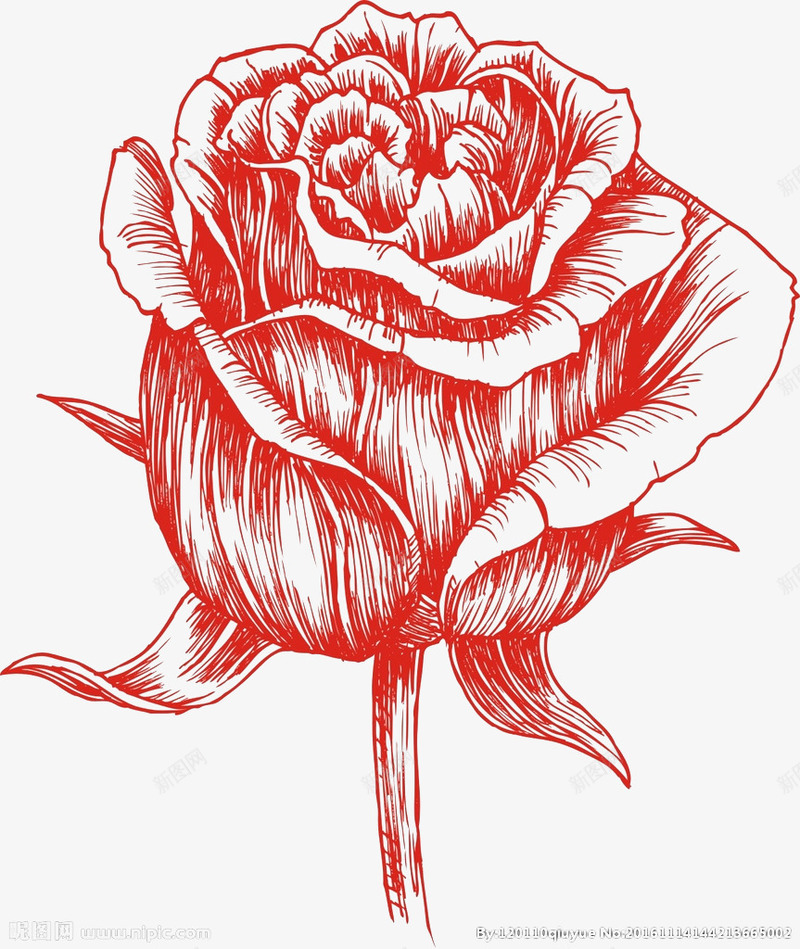 手绘玫瑰花png免抠素材_新图网 https://ixintu.com 浪慢 爱情 玫瑰 玫瑰花 红玫瑰 美好