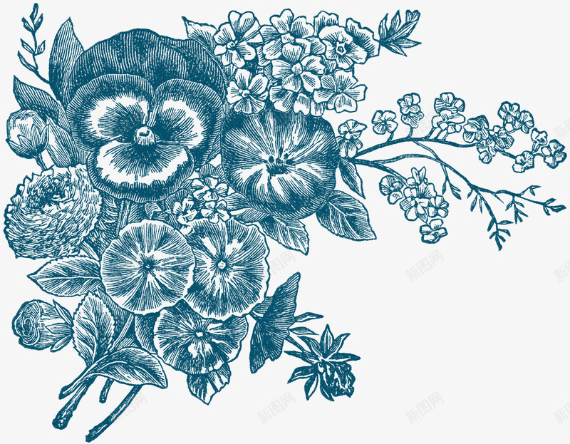 手绘复古素描花朵png免抠素材_新图网 https://ixintu.com 优雅 古着 复古 淡蓝色 素描 鲜花