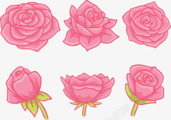 浪漫粉红色玫瑰花矢量图素材