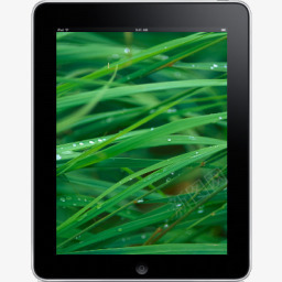 iPad面前草背景图标图标