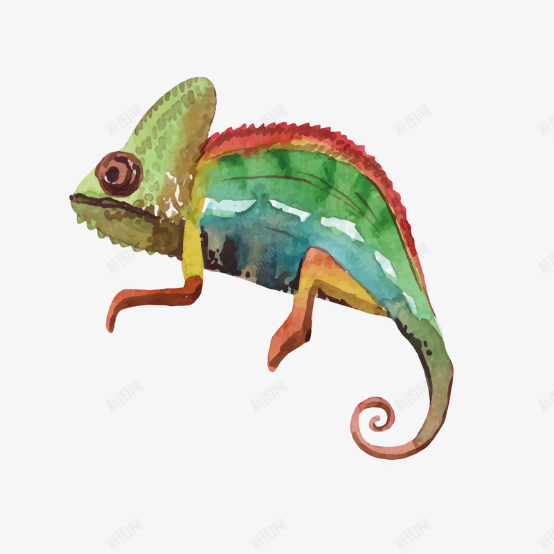 彩色纹理变色龙卡通插画矢量图ai免抠素材_新图网 https://ixintu.com 光泽 商务 彩色 眼睛 眼神 纹理 绘画 质感 锯齿 矢量图