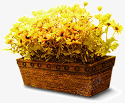 黄色花朵浪漫花盆盆景png免抠素材_新图网 https://ixintu.com 浪漫 盆景 花朵 花盆 黄色