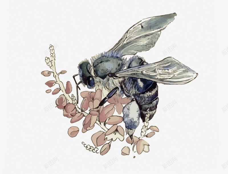 蜜蜂采蜜png免抠素材_新图网 https://ixintu.com PNG图片 PNG图片素材 PNG素材 PNG素材免费下载 手绘 蜜蜂 采蜜