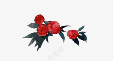 水彩红色玫瑰花png免抠素材_新图网 https://ixintu.com 水彩 玫瑰花 红色