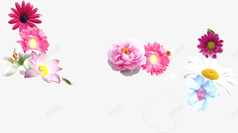 彩色节日花朵装饰母亲节png免抠素材_新图网 https://ixintu.com 彩色 母亲节 节日 花朵 装饰