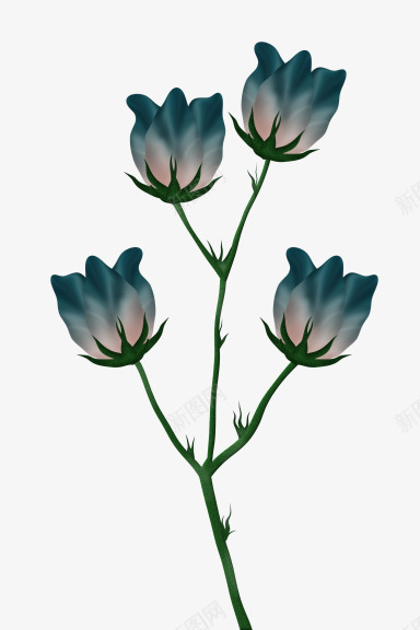 韩式花卉png免抠素材_新图网 https://ixintu.com 复古 影楼后期制作 花卉 花朵 装饰