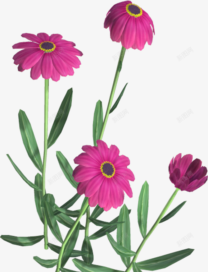 粉色绽放花朵绿叶png免抠素材_新图网 https://ixintu.com 粉色 绽放 绿叶 花朵