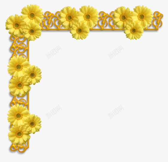 黄色绽放花朵边框png免抠素材_新图网 https://ixintu.com 素材 绽放 花朵 边框 黄色