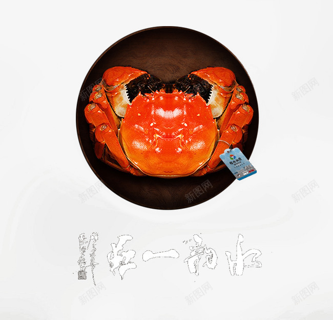 一只熟螃蟹png免抠素材_新图网 https://ixintu.com 一只熟螃蟹图 大闸蟹 美食