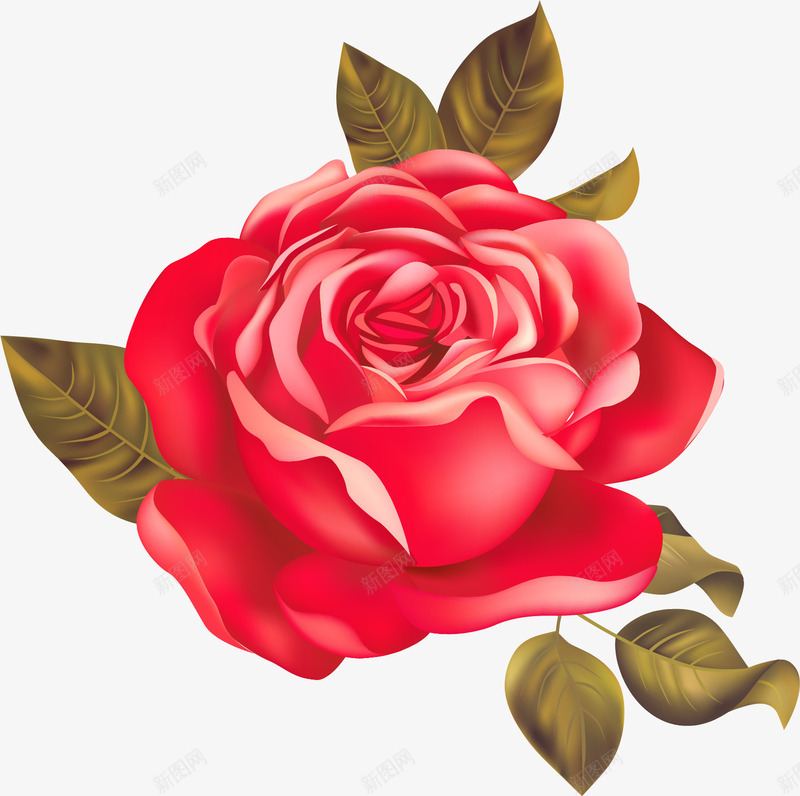 精美红色玫瑰花矢量图ai免抠素材_新图网 https://ixintu.com 玫瑰花 精美 红色 矢量图