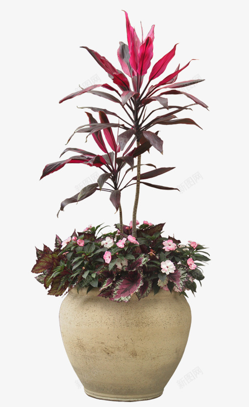 室内植物png免抠素材_新图网 https://ixintu.com 室内植物 植物 植物装饰 自然景观