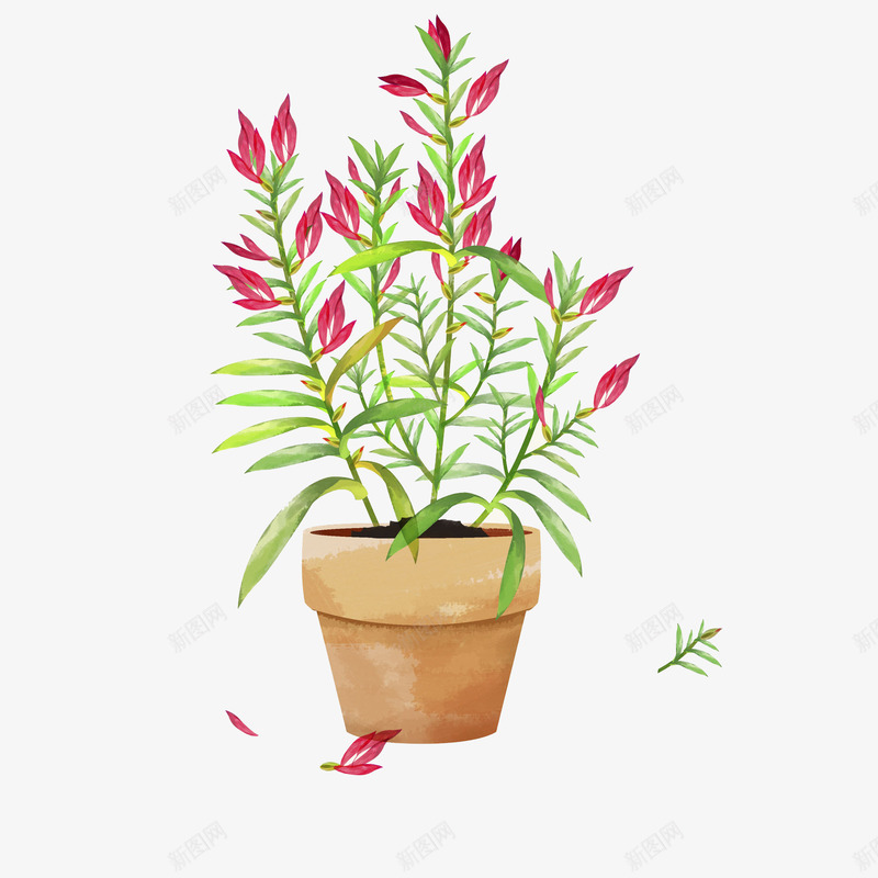 绿植观赏盆景png免抠素材_新图网 https://ixintu.com png图片 摆件 盆景 绿植 观赏