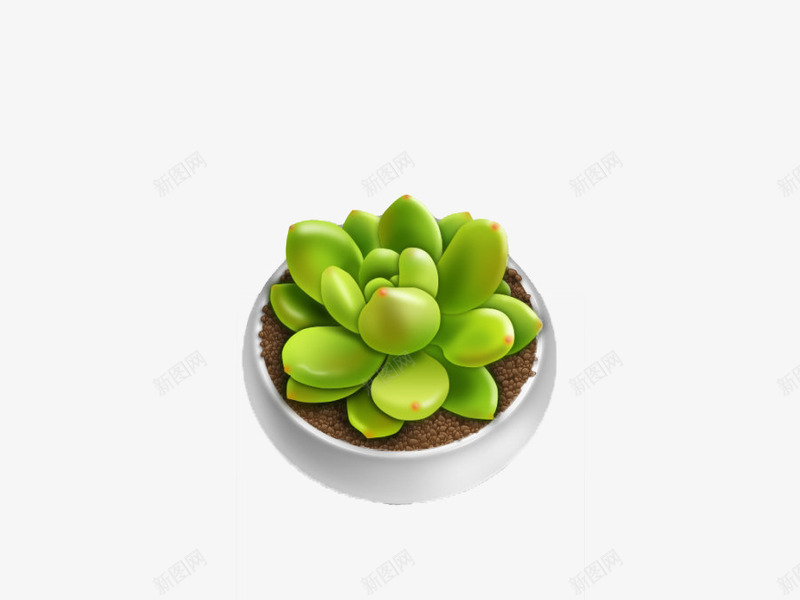 花盆里的绿植png免抠素材_新图网 https://ixintu.com PNG素材 植物 绿植 花盆