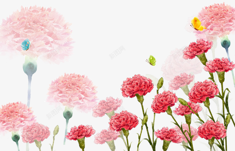 康乃馨花丛psd免抠素材_新图网 https://ixintu.com 康乃馨 康乃馨花瓣 母亲节 节日 花丛 花朵 花瓣