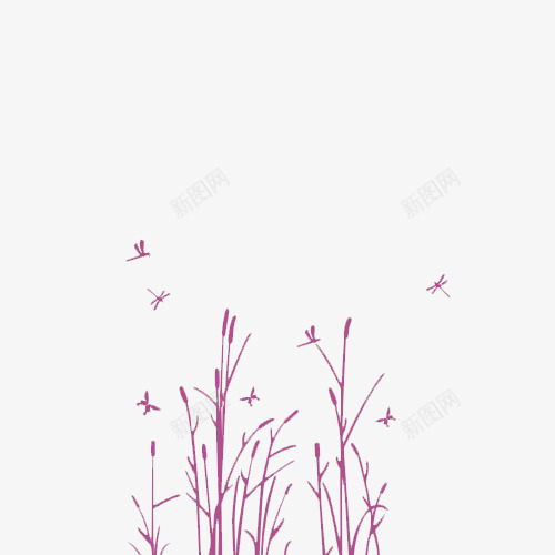 简约芦苇荡png免抠素材_新图网 https://ixintu.com 小清新 植物 玫红 简约 蜻蜓