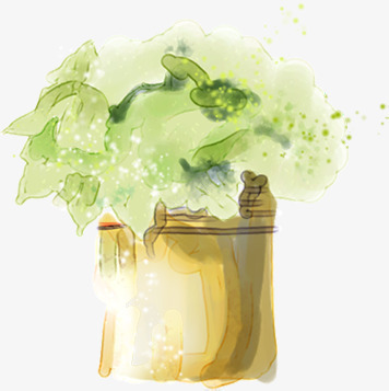 室内手绘植物摆件png免抠素材_新图网 https://ixintu.com 室内 摆件 植物