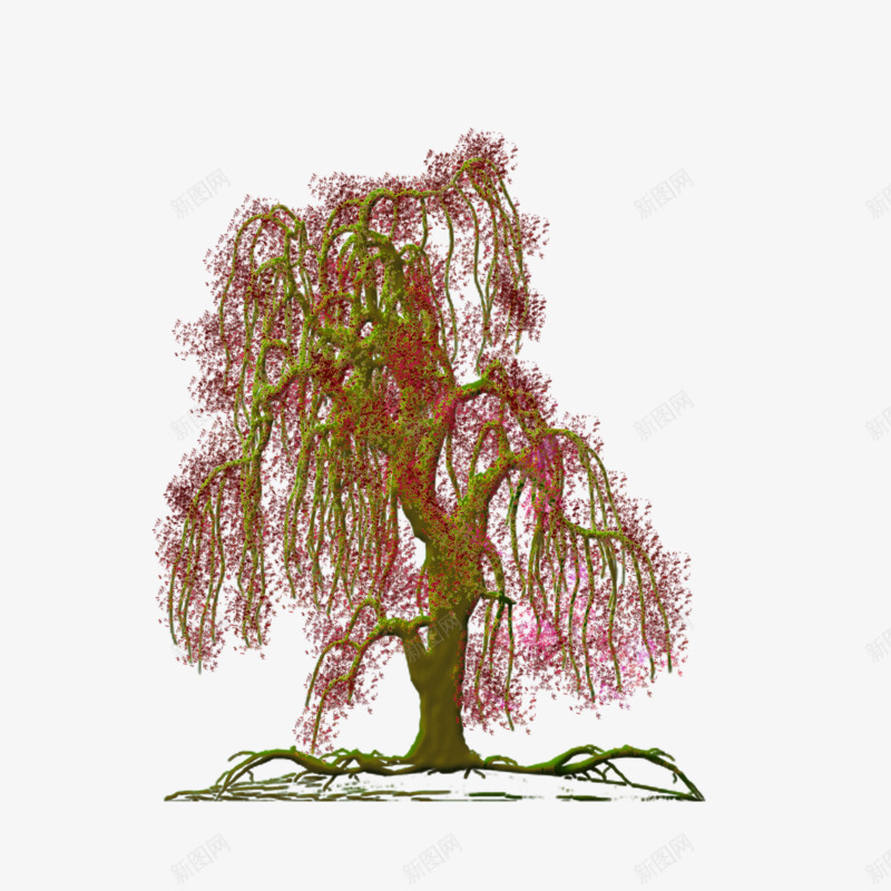 卡通创意千年大柳树png免抠素材_新图网 https://ixintu.com 大柳树 树木 植物 美丽 老树