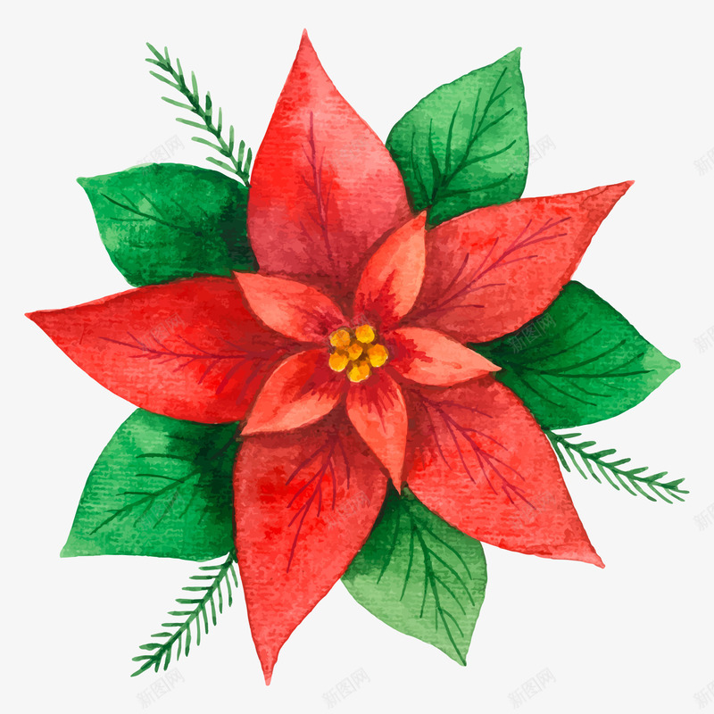 红色花卉插画png免抠素材_新图网 https://ixintu.com 圣诞挂件素材库 红色插画素材 花卉素材库 花朵素材库