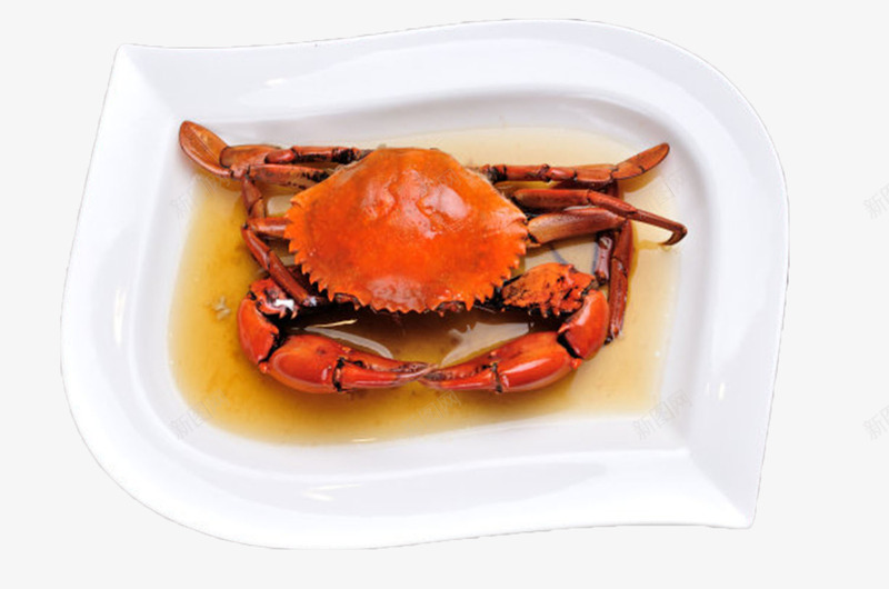 红色美味的食物清蒸大闸蟹实物png免抠素材_新图网 https://ixintu.com 免扣 免费下载 大闸蟹 清蒸 清蒸蟹 红色 蒸蟹 螃蟹 蟹 食物
