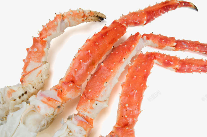 大闸蟹蟹肉蟹腿png免抠素材_新图网 https://ixintu.com 大螃蟹 大闸蟹蟹肉 蟹肉 蟹腿