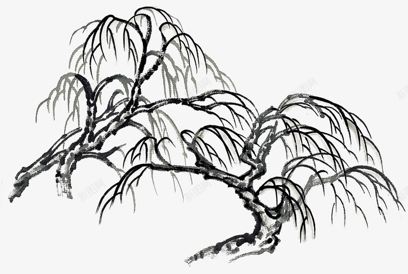 水墨柳树枝png免抠素材_新图网 https://ixintu.com 卡通 手绘 柳树 树枝 水墨