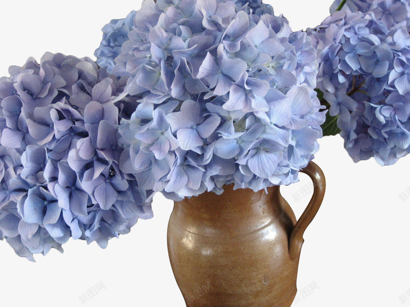 蓝色绣球花摆件png免抠素材_新图网 https://ixintu.com 台花 摆件 绣球花 花卉 花瓶 蓝色 装饰 陶瓷瓶子
