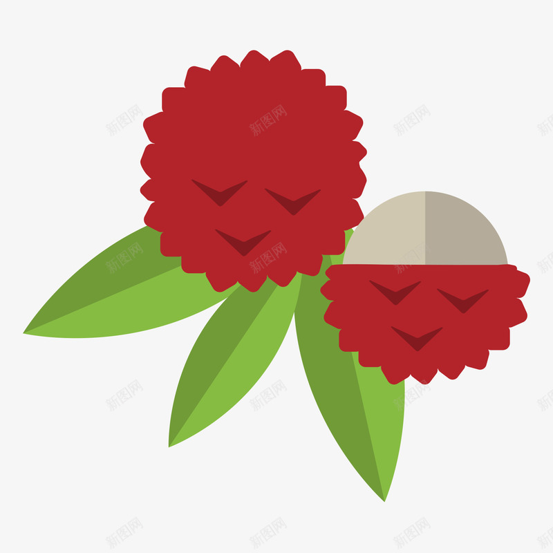 初夏水果害羞荔枝矢量图ai免抠素材_新图网 https://ixintu.com 初夏水果 卡通 叶子枝叶 夏日 害羞 手绘 植物 水果设计 荔枝 矢量图