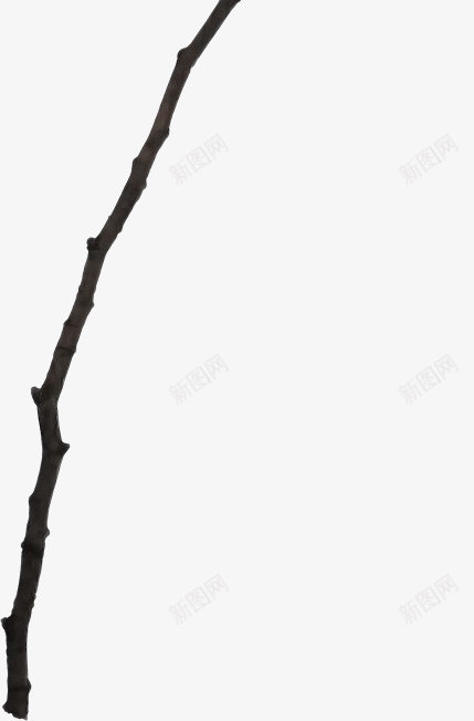 枝叶装饰图标png_新图网 https://ixintu.com 枝条 枯枝 树枝 细枝