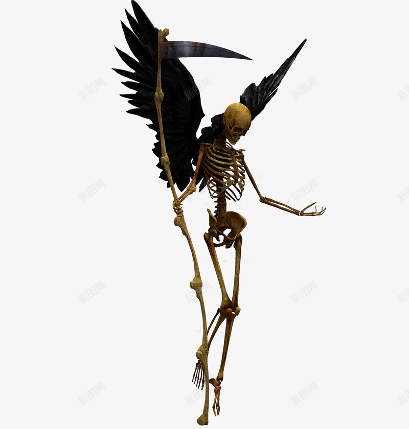 骸骨png免抠素材_新图网 https://ixintu.com 产品实物 恐怖 恶魔 骨头 骷髅