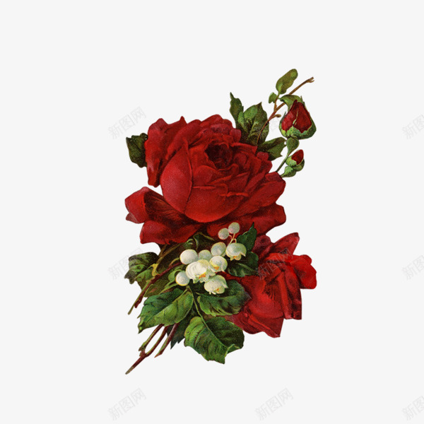 红色玫瑰花png免抠素材_新图网 https://ixintu.com 玫瑰花 红色 花骨朵 铃兰花 鲜花