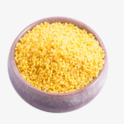瓷碗装金黄有机小米新小米月子米素材