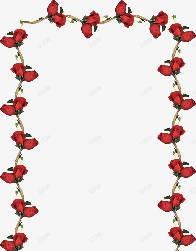 玫瑰花瓣藤蔓边框png免抠素材_新图网 https://ixintu.com 双十二免扣元素 枝条 红色玫瑰 装饰 边框素材