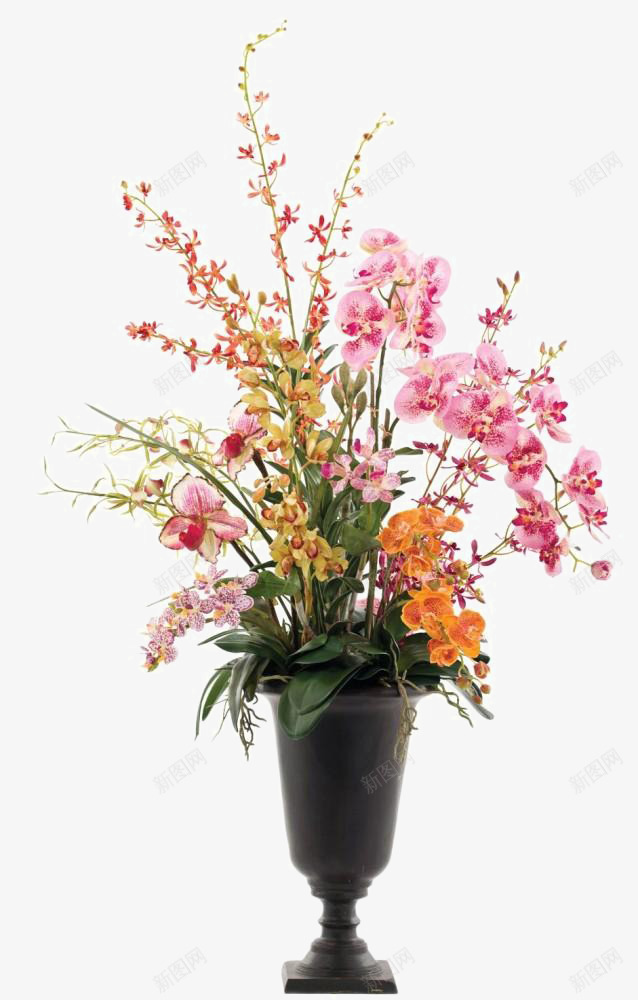 蝴蝶兰花卉装饰花瓶软装摆设png免抠素材_新图网 https://ixintu.com 摆设 花卉 花瓶 蝴蝶 装饰 装饰花瓶