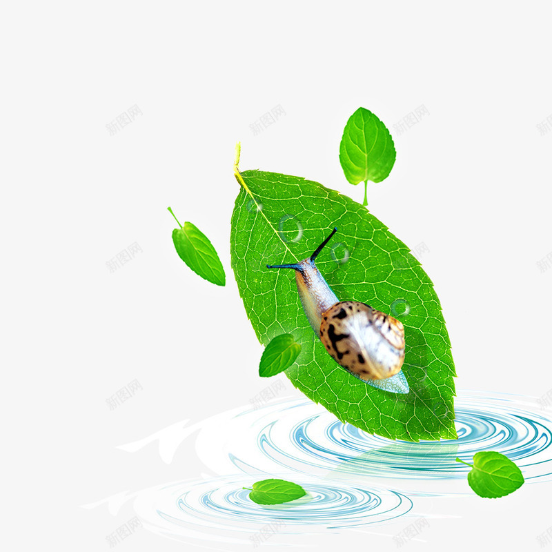 蜗牛绿叶psd免抠素材_新图网 https://ixintu.com 嫩芽 时尚元素 昆虫 植物叶子 气泡 泡泡 淡绿背景 绿叶 绿芽 蝴蝶 韩国素材