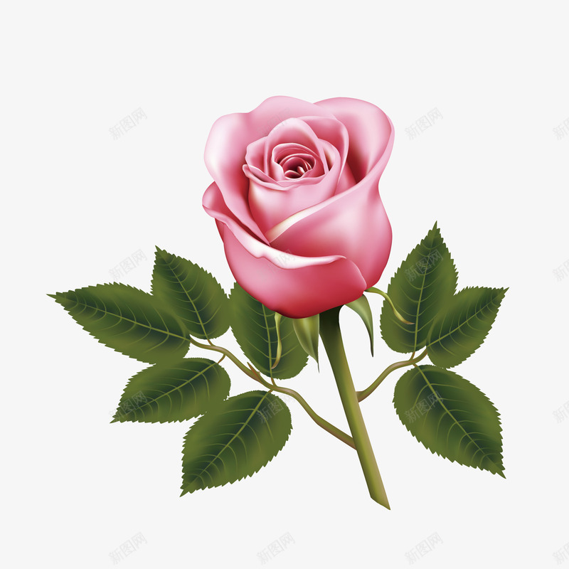 卡通手绘粉色玫瑰花矢量图eps免抠素材_新图网 https://ixintu.com png玫瑰花 一枝 免抠图 卡通 手绘 植物 浪漫 粉色 绿叶 矢量图