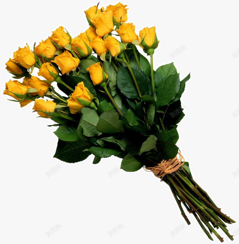 黄色玫瑰花鲜花包装png免抠素材_新图网 https://ixintu.com 包装 玫瑰花 鲜花 黄色