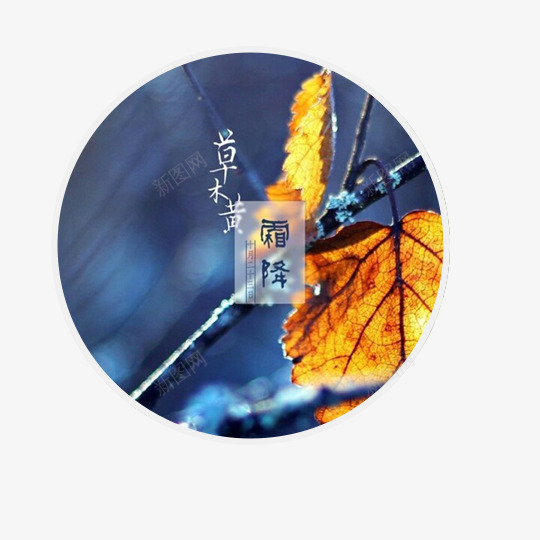 圆形霜降节气插画png免抠素材_新图网 https://ixintu.com 二十四节气 圆形 插画 霜降
