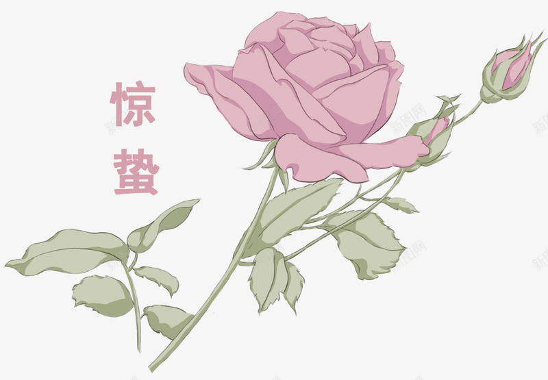 惊蛰节气装饰鲜花png免抠素材_新图网 https://ixintu.com 二十四节气 惊蛰 玫瑰花 花卉 装饰图案 鲜花
