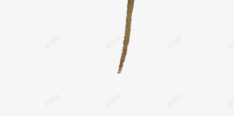 手绘小清新卡通羽毛图标png_新图网 https://ixintu.com 创意 卡通图片 卡通小清新图片 小清新图标 小清新矢量图 简约图标 素描 羽毛 装饰图片