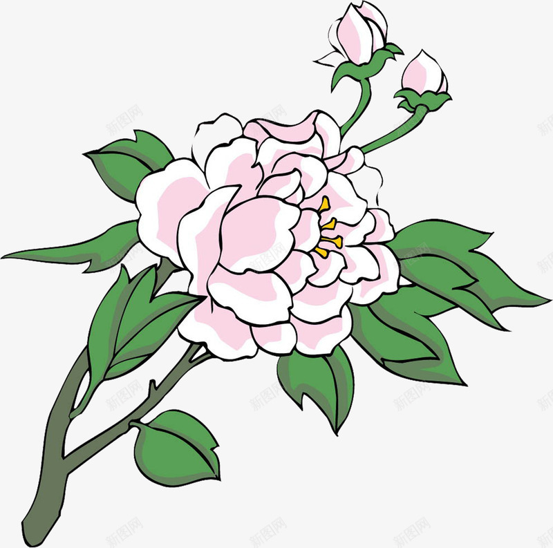 绘画花卉封面png免抠素材_新图网 https://ixintu.com 图片 封面 绘画 花卉