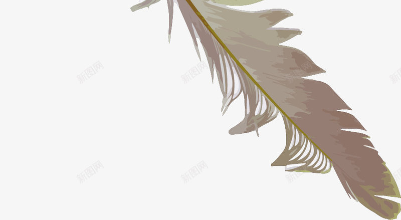 梦幻羽毛png免抠素材_新图网 https://ixintu.com 卡通有趣 彩色底纹 梦幻 水彩底纹 矢量图案 羽毛