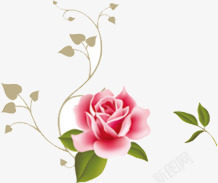 手绘梦幻粉色玫瑰花素材