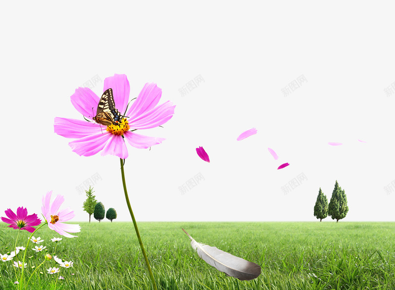 绿色草坪png免抠素材_新图网 https://ixintu.com 小草 户外 环保 绿叶 绿树 羽毛 花朵 花瓣 草原 草地 草坪 蝴蝶 足球场 野外