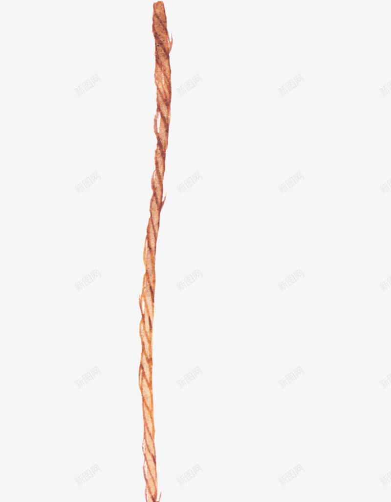 绳子上的羽毛和吊饰png免抠素材_新图网 https://ixintu.com PNG 吊饰 绳子 羽毛