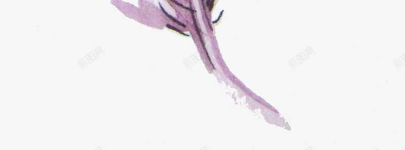 淡紫色的羽毛png免抠素材_新图网 https://ixintu.com png图形 png装饰 手绘 淡紫色 羽毛 装饰