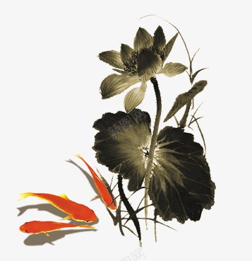 古风水墨荷花psd免抠素材_新图网 https://ixintu.com 中国风 古风 好运锦鲤 水墨 红鲤 荷花 金鱼 锦鲤